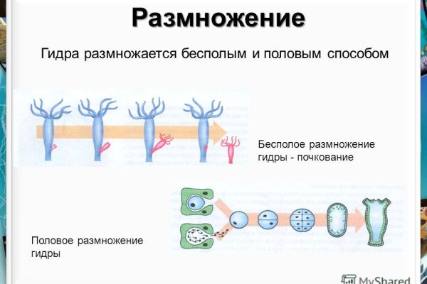 Кракен омг мега