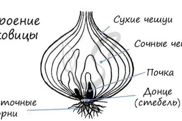 Кракен сайт наркота